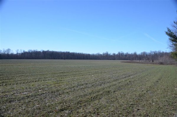 339+/- Acres Offered in 10 Tracts